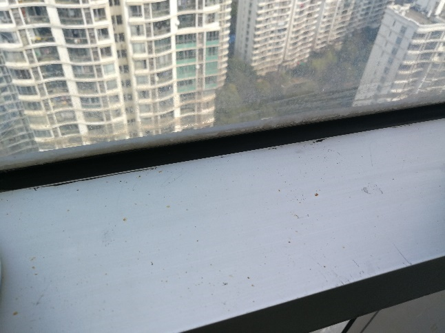 幕墻安全檢測(cè)